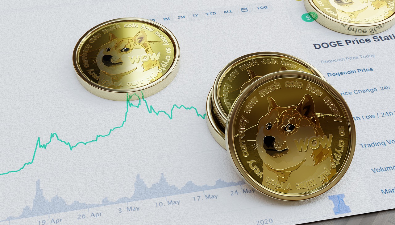 De opkomst van de dogecoin